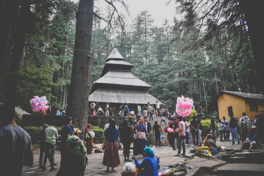 Manali-Hadimba Temple Cedar Forest