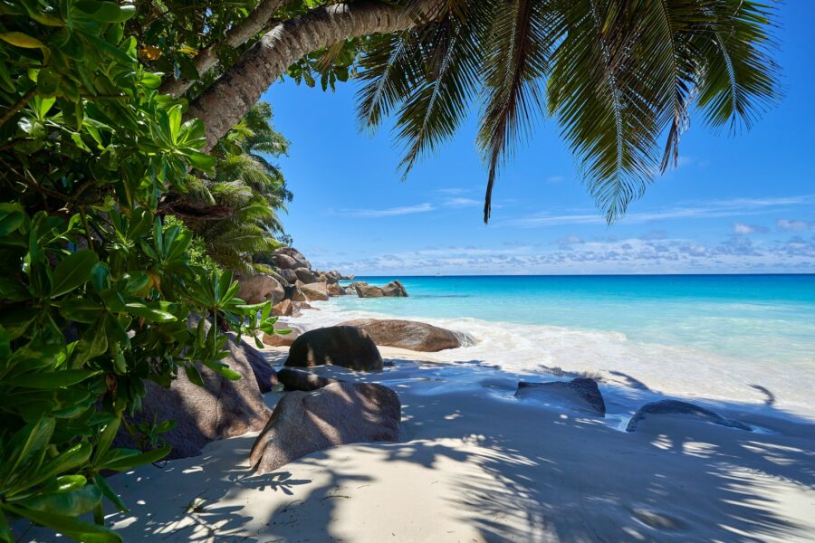 Seychelles-Tropical Beach View
